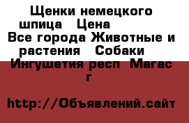 Щенки немецкого шпица › Цена ­ 20 000 - Все города Животные и растения » Собаки   . Ингушетия респ.,Магас г.